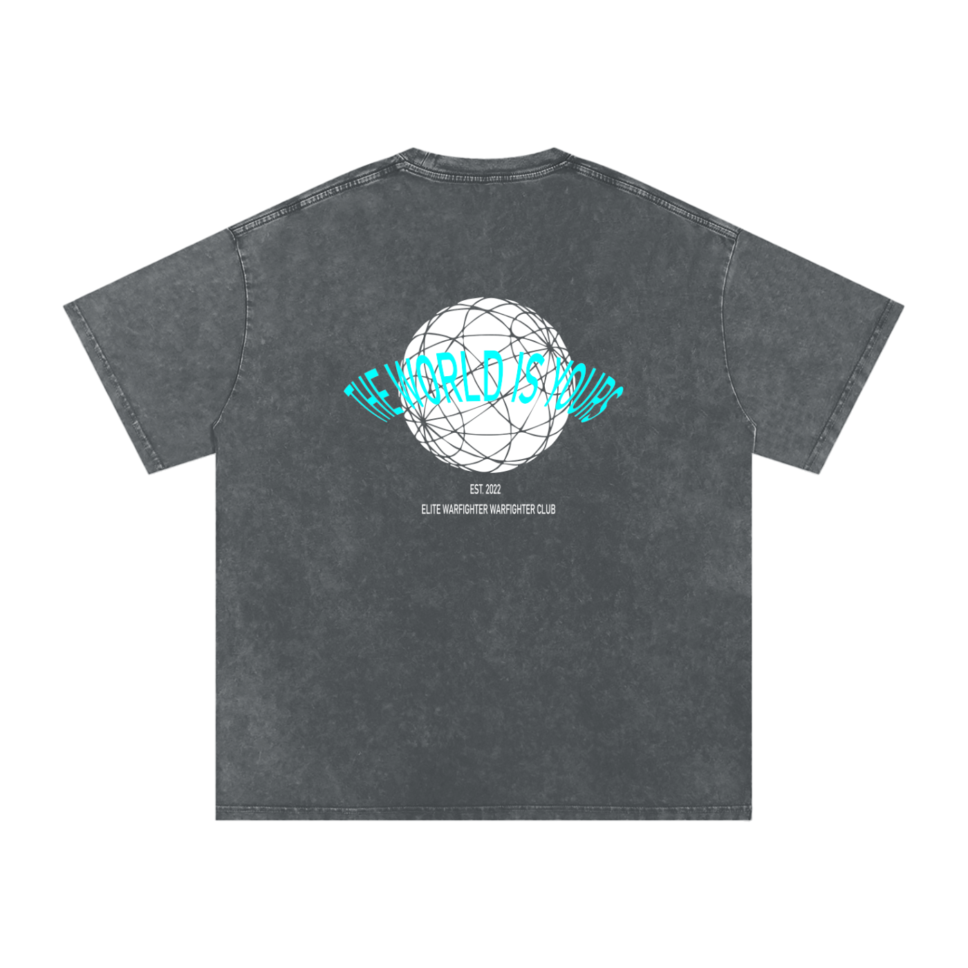 The World Is Yours Snow Washed Oversized Cotton T-Shirt